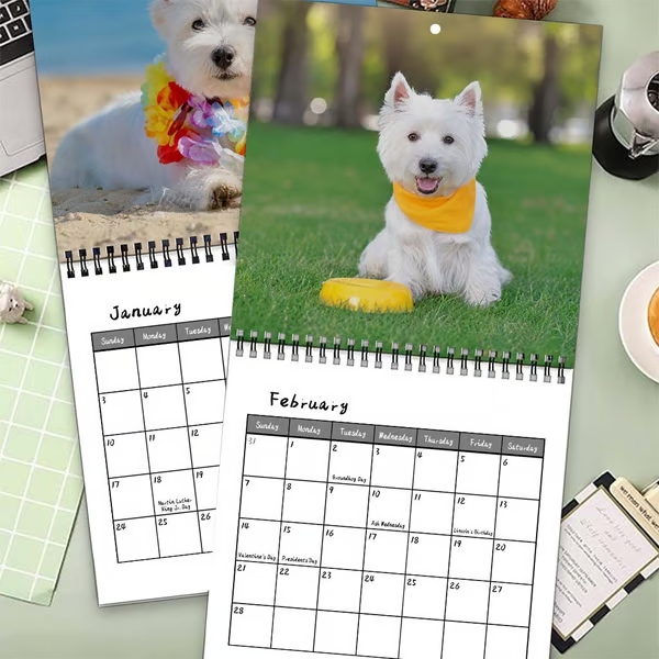 🐶 Calendario 2027 de West Highland White Terrier – 12 meses de encantadores retratos caninos y momentos felices