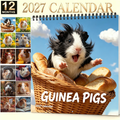 🏆 Last Day Special Price ! Each🗓️Buy 2 Get 1 Free✨🔥2027 Funny Adorable Guinea Pig Wall Calendar